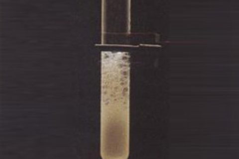 如何鉴别掺假氢氧化铝